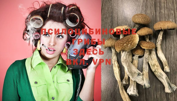 прущие крисы Алексин